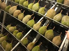 -都念榴莲·城市榴莲