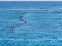 -七星潭蓝天广场