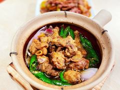 -老乡鸡(上海白玉兰广场店)
