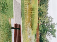 -福田红树林生态公园