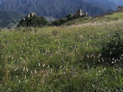 -白草畔自然风景区