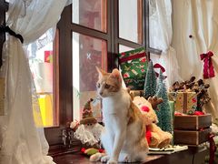 -初甜·舒芙蕾·韩式雪花冰(流塘店)