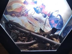 -龙岗区科技馆