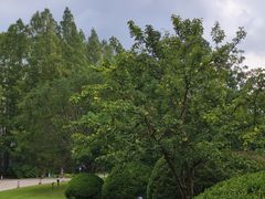 -棕榈岛海鲜自助餐厅(虹桥迎宾馆店)