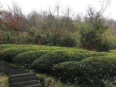 -敬亭山风景名胜区