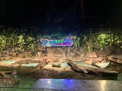 -重庆欢乐海底世界