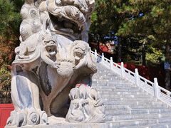 -芦芽山旅游度假区