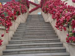 -鲁邦国际风情街(麦世达韩国精品百货店)