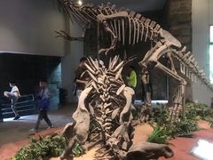-自贡恐龙博物馆