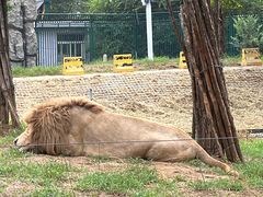 -秦皇岛野生动物园