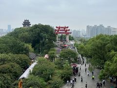 -黄鹤楼公园(黄鹤楼)