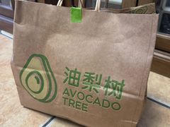 -油梨树 AVOCADO TREE(亮马桥店)