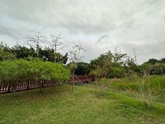 -福田红树林生态公园