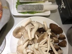 -古乐牛香·鲜牛肉牛杂火锅(新区店)