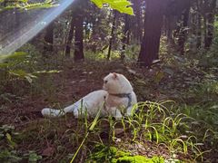 -沈阳辉山风景区