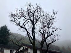 -丹山赤水风景名胜区