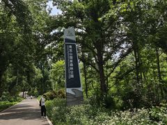 -青龙山国家森林公园
