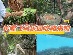 -广州长隆飞鸟乐园
