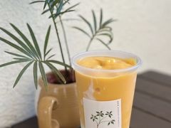 -绿小院(荔湾店)