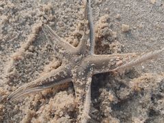 -惠州金海湾嘉华度假酒店