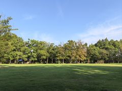 -东湖落雁景区