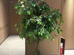 -桔子酒店(天津五大道店)