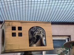 -青藏高原野生动物园
