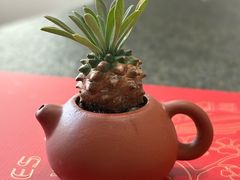 -龙大花卉苗木市场