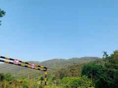 -铁山坪森林公园