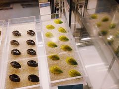 经典巧克力-福州仓山凯悦酒店·Market Cafe Lacucina咖啡厅