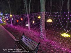 -昆山城市生态森林公园