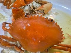 -崖口红树林海鲜餐厅