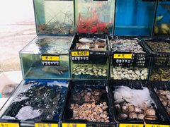 -蚝专家