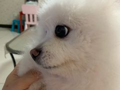 -纳吉亚猫专科动物医院博雅分院