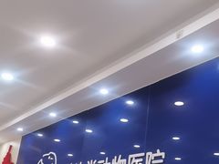 -芭比堂动物医院·24小时·眼科中心(深圳中心)