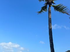 -三亚太阳湾柏悦酒店