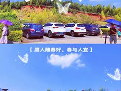 -蔡伦竹海