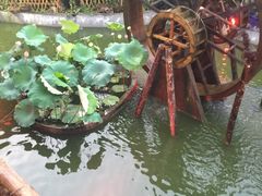 -老字号农家宴