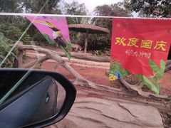 -海南热带野生动植物园