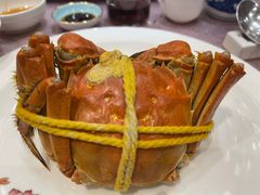 -新光酒家·河豚·海鲜·蟹料理(浦东店)