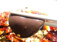 -雲蜀龙阁·金牌水煮鱼(方庄店)