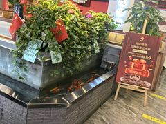 -洞庭家宴·头牌甲鱼(广渠门店)