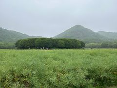 -八卦田遗址公园