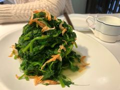 樱花虾炒豆苗-民国红公馆·秦淮八艳(夫子庙店)
