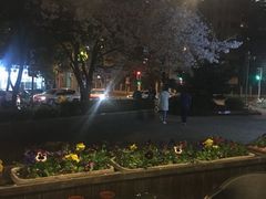 -玛格萝妮比萨屋(四平店)