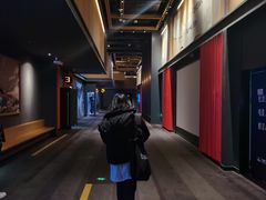 -万达影城(闵行颛桥万达广场杜比影院店)