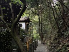 -十八棵（老龙井）御茶园(老龙井店)