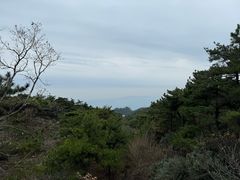 -天柱山风景区