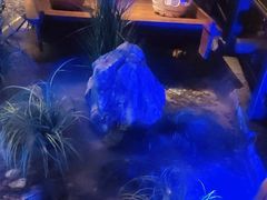 -绿茶餐厅(昆明世纪金源店)