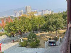 -飞来湖湿地公园